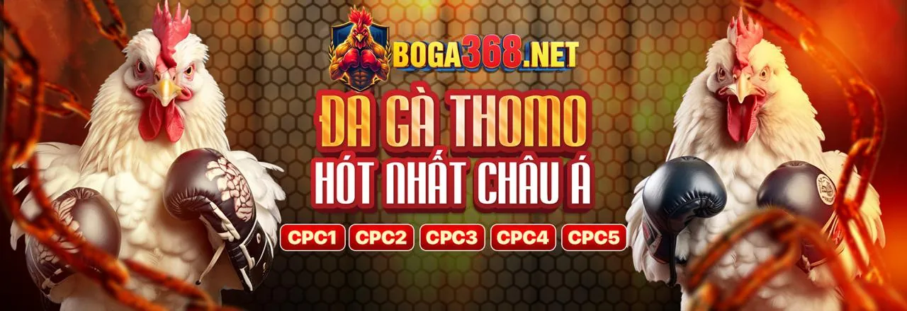 Đá Gà Trực Tuyến f088